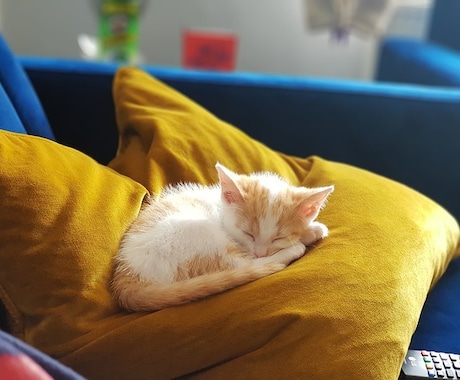 怖い夢を見たり不安で寝れないあなたを安眠へ導きます ✨傾聴でお話をじっくり聴き心を安らげます✨ イメージ2