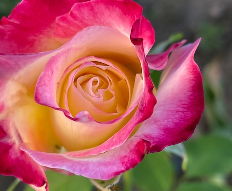 60分ココナラチャットで楽しくおしゃべりします どんなおしゃべりをしたいか教えてくださいね イメージ2