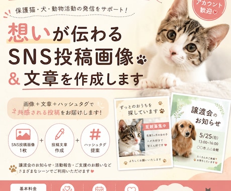 想いが伝わるSNS投稿画像＆文章を作成します 保護猫活動を応援！SNS投稿を作成します イメージ1