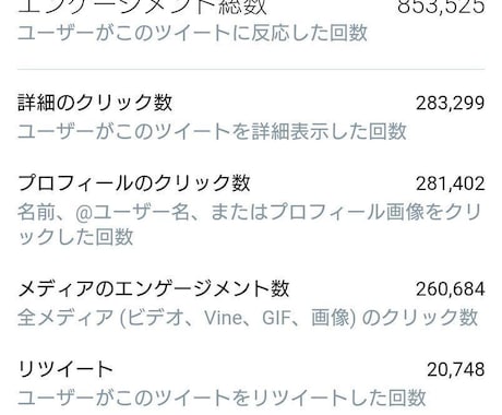 日本人フォロワー300人以上増やします Twitter集客・日本人フォロワー増やし・拡散手伝います イメージ1