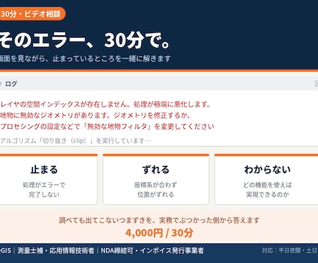 GISソフトの困りごとを30分で解決します エラーで進まない・データが開けないを画面共有で解決！ イメージ1