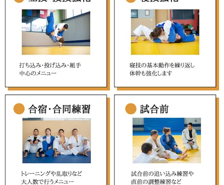 柔道指導・練習メニューを作成します 30分〜でも可！初心者から経験者まで幅広く対応☆ イメージ2