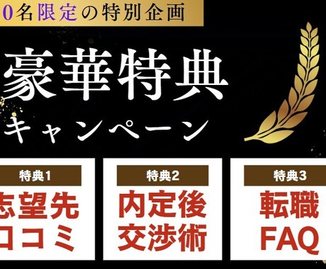 会話で完成!会話中に職務経歴書・履歴書を作成します 人事経験・多くの内定を得たノウハウを駆使し、強みを言語化! イメージ2