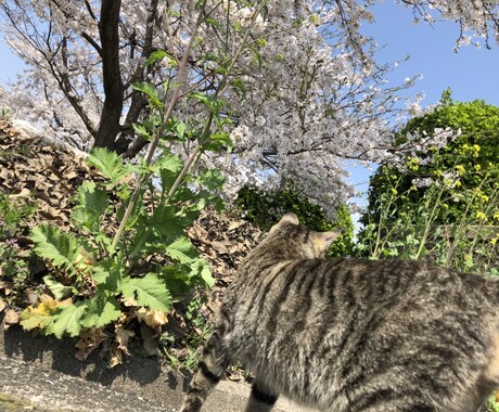 友達以上恋人未満のモヤモヤ関係をどうにかします 今のままじゃ･･･どっちなのかハッキリしてほしい！あなたへ イメージ1