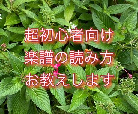 楽譜の読み方お教えします 新しく音楽を趣味にしたい方、楽譜を読み方を1から知りたい方 イメージ1
