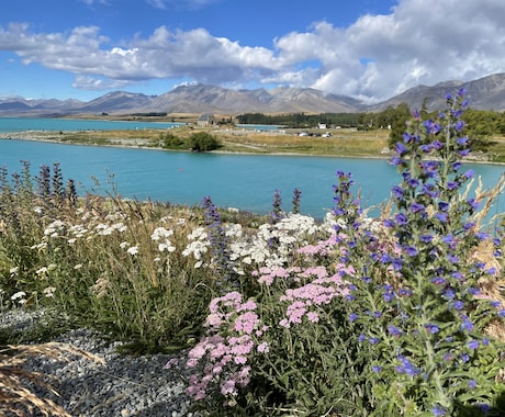 海外の中学高校留学準備に向けての理数を教えます 英語で学ぶことでより数学や理科を楽しめるかもしれません！！！ イメージ1