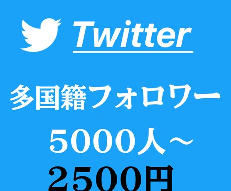 Twitter多国籍フォロワー5000人増やします 30日保証❗️減少少なめ❗️MAX10万人❗️ イメージ1