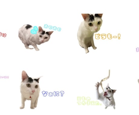 我が家のかわいいLINEスタンプ作成します 画像を使用してLINEスタンプ作成します！！！ イメージ1