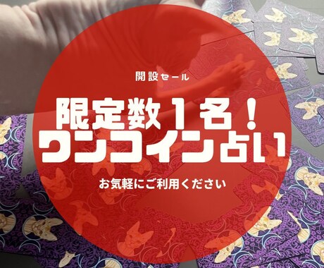 限定１名様！ワンコインで占います オッドアイのスフィンクスによるタロット占い