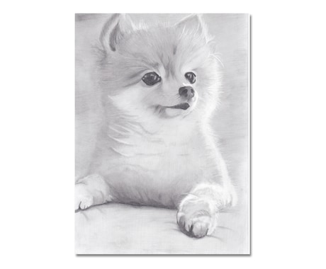 鉛筆で手書きの愛犬との特別な瞬間を描きます 世界でたった1枚の宝物をアートとして残しませんか？ イメージ2