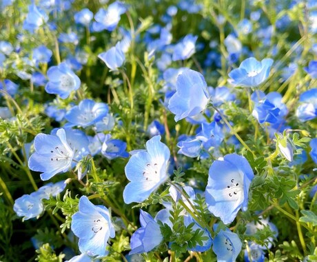 某番組で人気の!!天星術!!出来ます HSP/複雑な環境にいた私に出来ること( *´꒳`* )♡ イメージ1