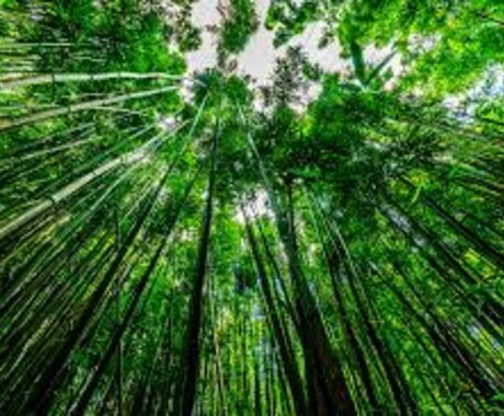 あなたのお誕生日から「仕事運」を鑑定します。 イメージ2