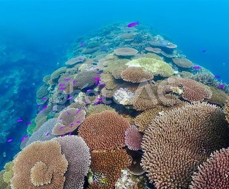 辛い片思い…あの人があなたに伝える言葉を教えます ハッキリしない態度＆言葉【今、本命相手がいる？】あの人の想い イメージ2