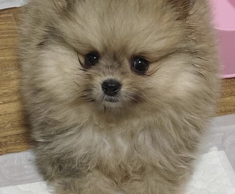 恋愛話も愚痴ききもします 孤独感やどうしようもなく誰にも話せない時頼って下さい。 イメージ1