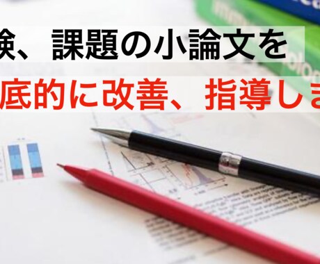 受験、課題の小論文を採点し、改善案を提案します 読み手に一目置かれる存在にさせる イメージ1