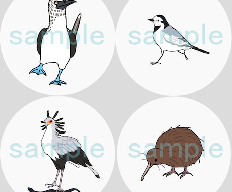 鳥のアイコン描きます あなたのお好きな鳥をデフォルメしてアイコンにします イメージ2