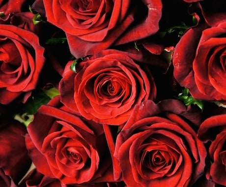 薔薇の結界♡自分だけの特別な魅力を開花させます 薔薇のエネルギーで作った結界で魅力を底上げします イメージ1