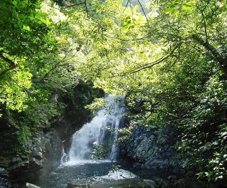 今あなたに必要なメッセージをお伝えします 恋愛、お仕事、家庭の事など迷っているあなたへ。