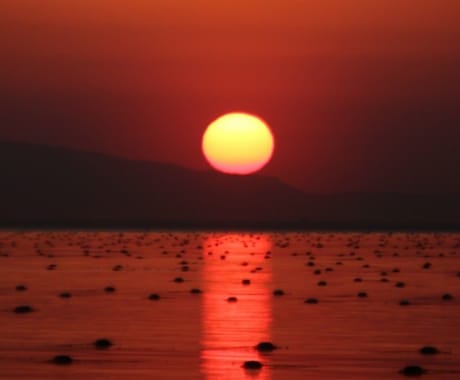 なんだか態度が変？お相手の気持ち霊視カードでみます もしかして浮気してる？そんな不安な気持ちに寄り添い鑑定します イメージ1