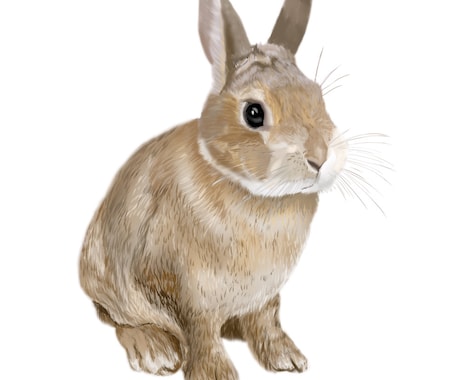 イラスト３枚から承ります イラスト３〜5枚で作成をご希望の方に低価格で作成いたします イメージ2