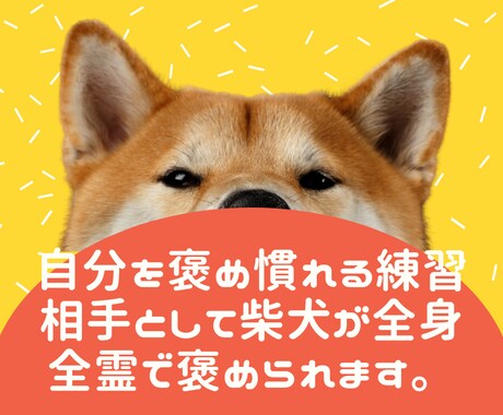 自分を褒め慣れるまで柴犬が全身全霊で褒められます ほめよ、たたえよ、柴犬を！褒めトレーナー「ほめシバ」 イメージ2