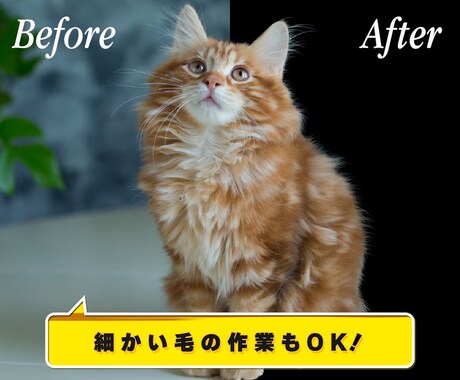 お好きな写真や画像を切り抜きします 即日対応可！時間がかかる毛髪などもキレイに仕上げます！ イメージ2