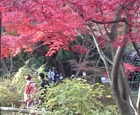 結婚式などスピーチ作成します 少し気の効いた言葉でスピーチの印章アップ イメージ1