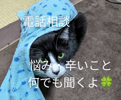あなたの悩みや愚痴を聞きます アドバイスや診断はしません。とにかく誰かと話したい方の窓口。 イメージ1