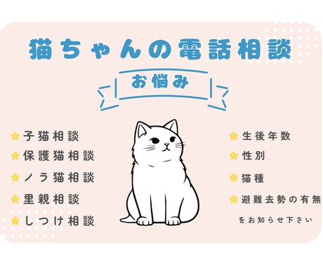 保護猫や子猫の育て方をアドバイスします 猫ちゃんのお悩みをお伺いします！ イメージ1
