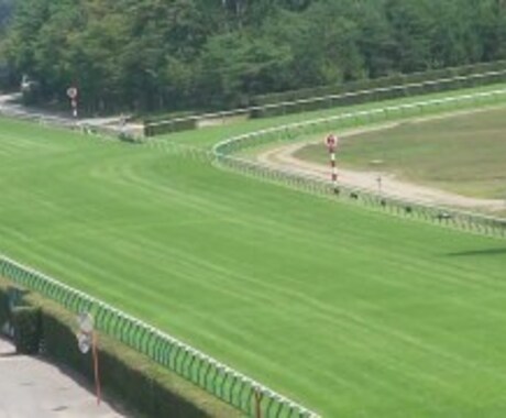 5月23日新潟競馬8Rの勝負できる馬券教えます 新潟競馬 千直  勝負馬 馬連 ワイド 三連複 各2点 イメージ1
