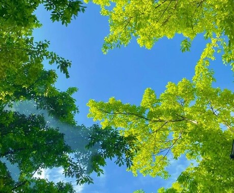 あなたの不満や愚痴を聞きます 悩みに寄り添い、解決方法を一緒に考えます！ イメージ1