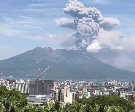 鹿児島市内の土地建物維持管理・墓参代行します 帰郷がままならない方に代わって、点検・清掃をお引き受けします イメージ1
