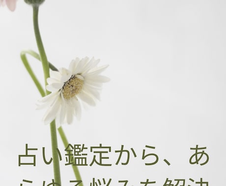 占い鑑定から、あらゆる悩みを解決します 基本的にさまざまな占いを駆使し、あなたの悩みを解決致します イメージ1