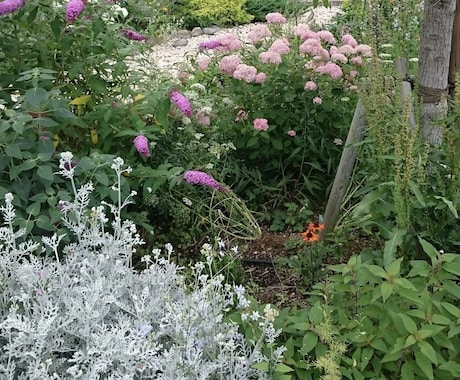 お庭づくりやお困りごとにプロがお答えします 植物の手入れから庭づくりまで、お庭の悩みを気軽に相談 イメージ1