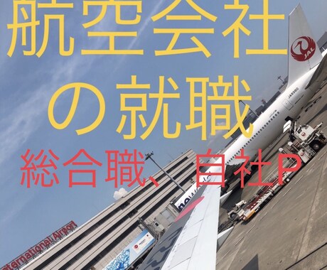 60分で航空会社就活スキルをあなたに詰め込みます ほぼ全ての日本の航空会社を受験した経験を生かします イメージ1