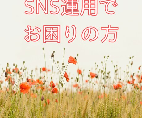 SNS運用でのお困りごとの相談を受け付けております 美容関係のインスタグラムを活用したい方へ イメージ1