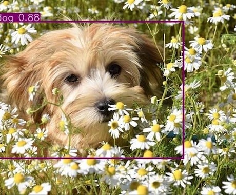 AIが画像や動画中の物体を自動で検出・加工できます AIがあなたに代わり自動で画像や動画加工いたします！ イメージ1