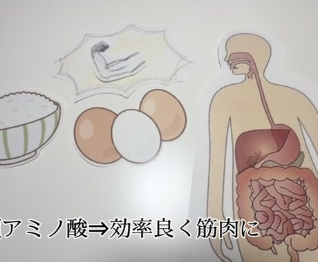 食事・運動・生活習慣を一緒に見直します 無理せず続ける健康習慣！目指しましょう！ イメージ2