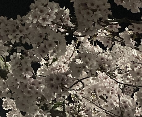 あなたの愚痴いつでも言って下さい待ってます 友人にも言えない事ありますよね？私に話しかけて下さい。 イメージ1