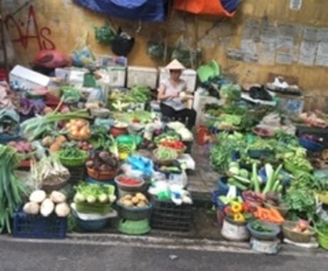 あなただけのベトナム旅行計画をお手伝いします 安くてごはんの美味しいベトナムを巡ってみませんか？ イメージ2