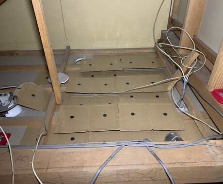 害獣駆除　ネズミ駆除のアドバイスします 業者に頼む前にご自身で対策◉女性スタッフが対応します◉ イメージ2