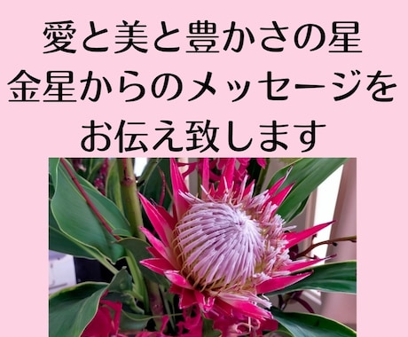 透聴✨金星からのメッセージ♡あなたはより輝きます 愛と美と豊かさお金の星✨金星♡霊視・透視・チャネリング・霊感 イメージ1