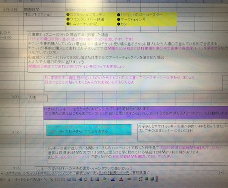 東京ディズニーの楽しみ方を個々に提供します 初めてのTDRや小さなお子様連れの方でも効率よく楽しめます イメージ2