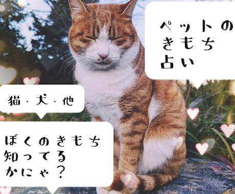 おうちのペットのきもち占います わんちゃん、猫ちゃんの心をやさしく読み解きます イメージ1