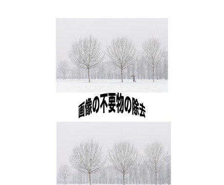 画像の合成、切り抜き、文字入れます お客様との出会いに感謝しスピーディーかつ確実に イメージ2
