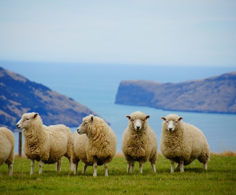 ワーホリ（NZ/AUS）の相談何でものります ワーホリ経験者としてリアルな内容も含めお話し致します イメージ1