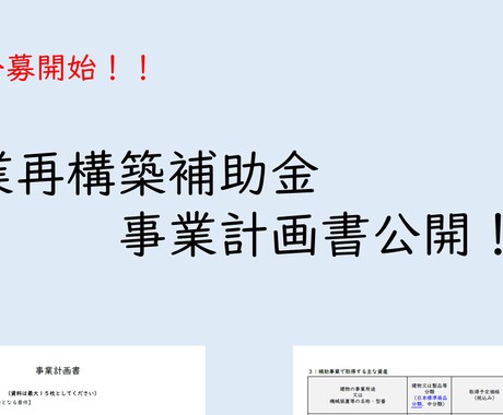 事業再構築補助金の事業計画書記載例をご提供します 【こちらは記載例のpdfファイルのみです】 イメージ1