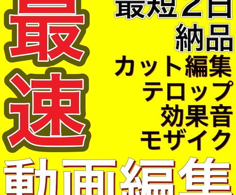 最速動画編集いたします 2日で納品できます。お急ぎの方是非ご依頼ください。 イメージ1