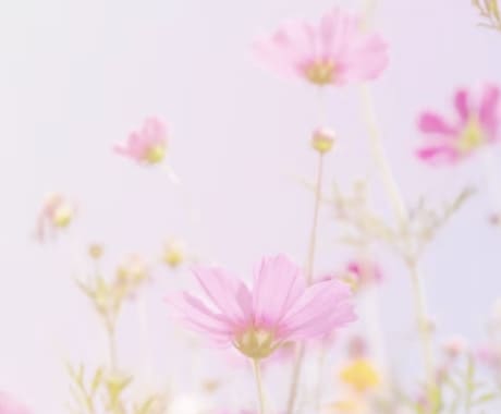 1ヶ月の交換日記☘️優しくお話お聞きします チャットで愚痴、悩み事、相談等、あなたの気持ちに寄り添います イメージ2