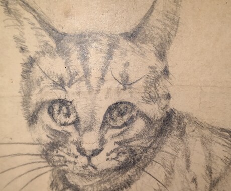 プロの画家がペットの似顔絵描きます 美大を出たプロの画家があなただけのペットの似顔絵描きます。 イメージ2